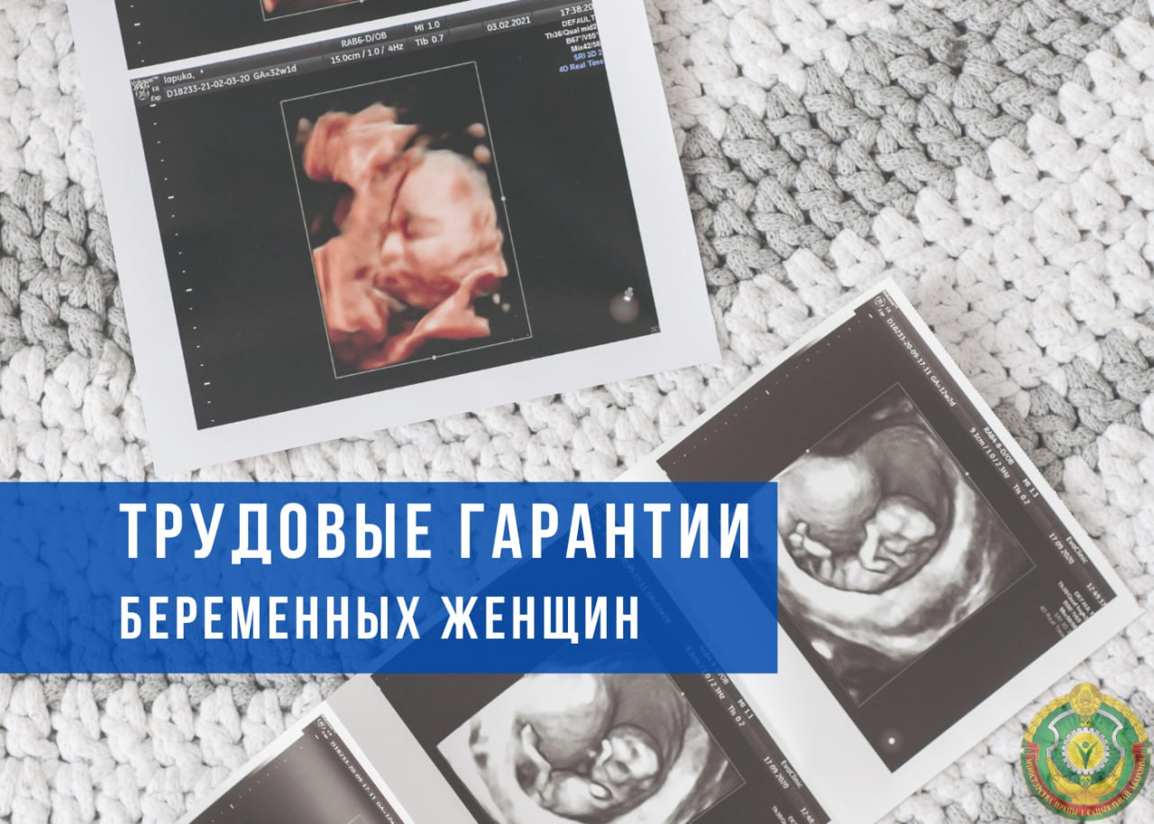 Трудовые гарантии беременных женщин