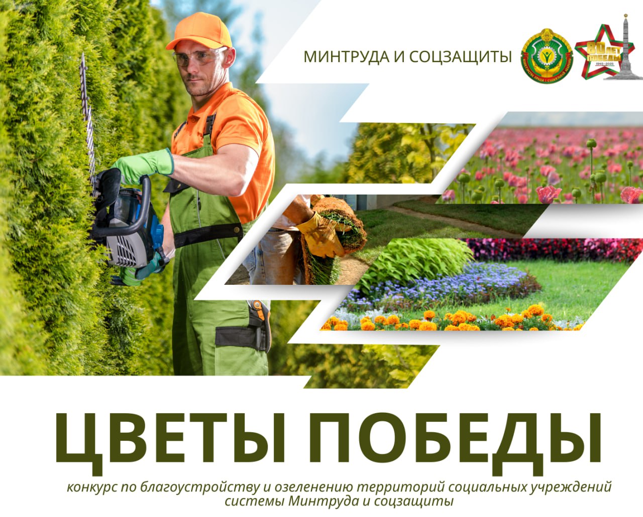 Конкурс по благоустройству и озеленению территорий социальных учреждений системы Министерства труда и социальной защиты Республики Беларусь