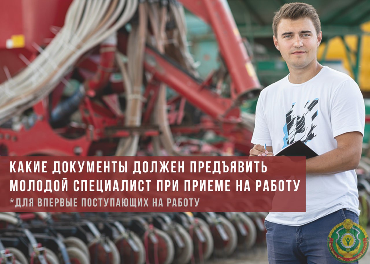 Какие документы должен предъявить молодой специалист при приеме на работу? 