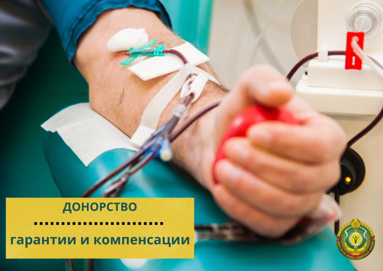 💉Донорство в Беларуси: какие гарантии и компенсации есть у работников? 